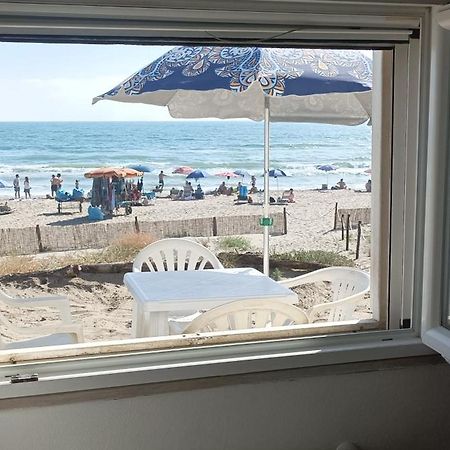 Casina Sulla Sabbia Διαμέρισμα Torvaianica Εξωτερικό φωτογραφία