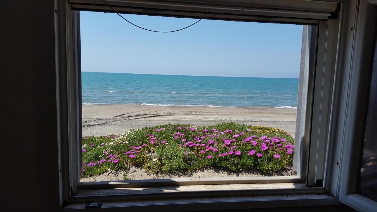 Casina Sulla Sabbia Διαμέρισμα Torvaianica Εξωτερικό φωτογραφία